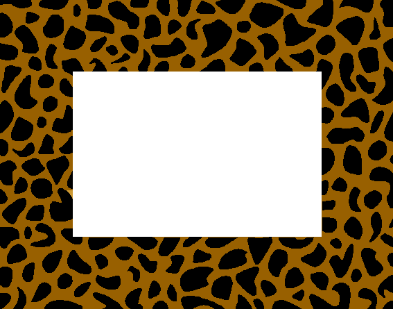 zebra print wallpaper border. tiger print borders borders